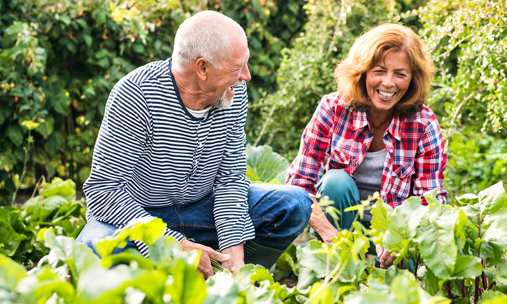 Retirement Planning Preparing for Retirement Standard Life